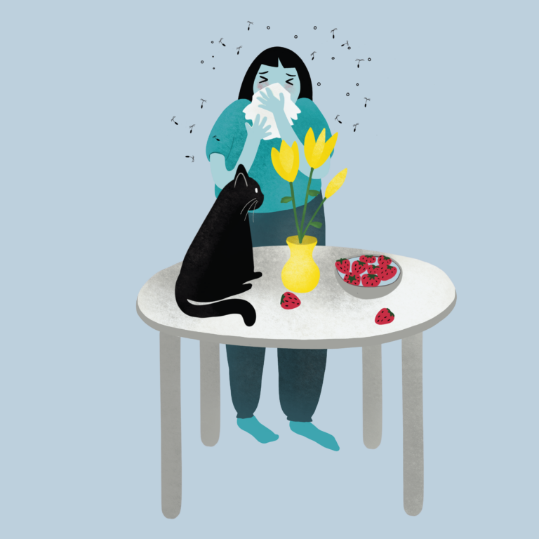 Bildkachel_RKI_Faktensandwiches